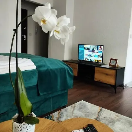 Zeid Center * サラエヴォ