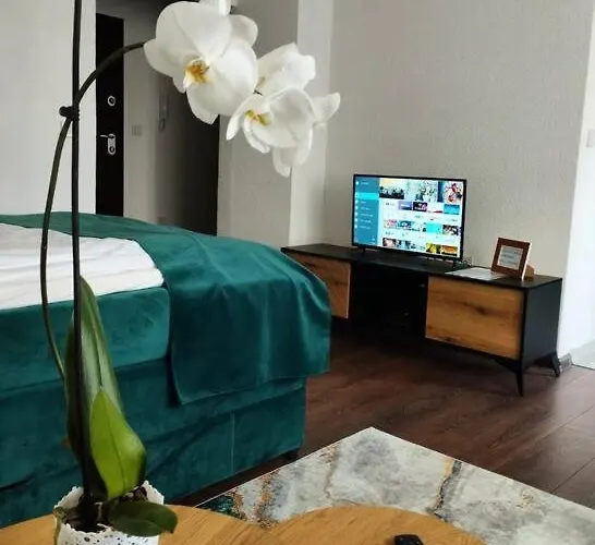 Zeid Center * Saraybosna